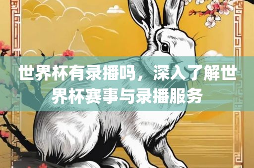世界杯有录播吗，深入了解世界杯赛事与录播服务