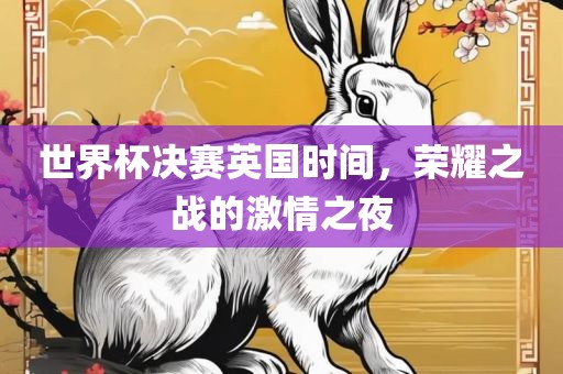 世界杯决赛英国时间，荣耀之战的激情之夜