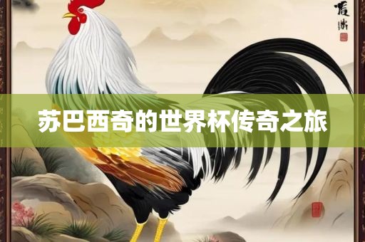 苏巴西奇的世界杯传奇之旅