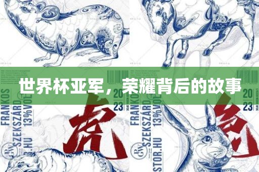 世界杯亚军，荣耀背后的故事