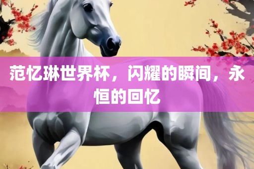 范忆琳世界杯，闪耀的瞬间，永恒的回忆