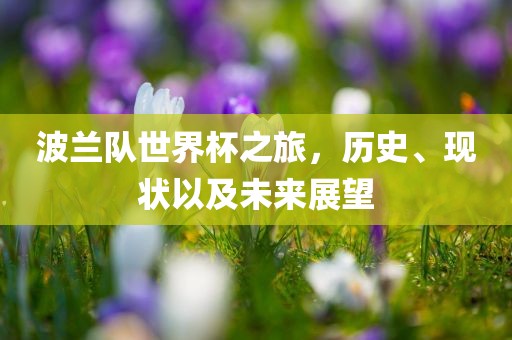 波兰队世界杯之旅，历史、现状以及未来展望