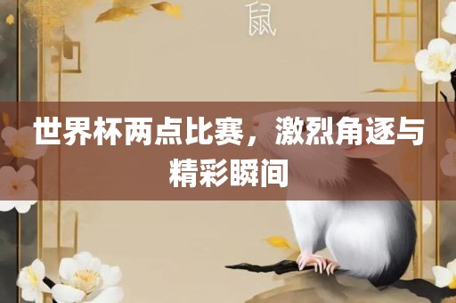 世界杯两点比赛，激烈角逐与精彩瞬间