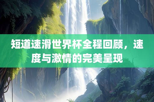 短道速滑世界杯全程回顾，速度与激情的完美呈现