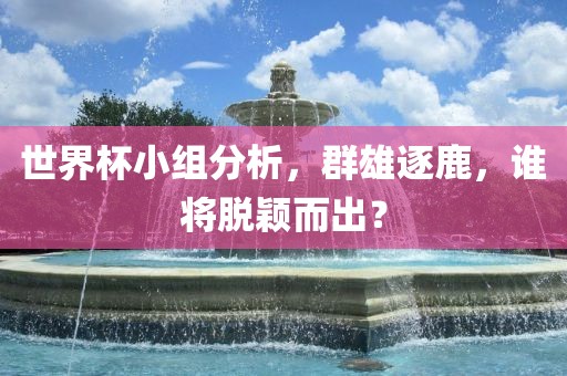 世界杯小组分析，群雄逐鹿，谁将脱颖而出？
