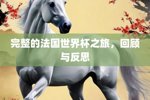 完整的法国世界杯之旅，回顾与反思
