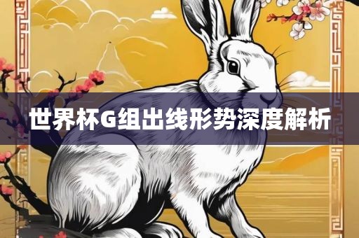 世界杯G组出线形势深度解析