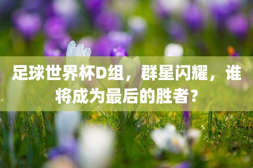 足球世界杯D组，群星闪耀，谁将成为最后的胜者？