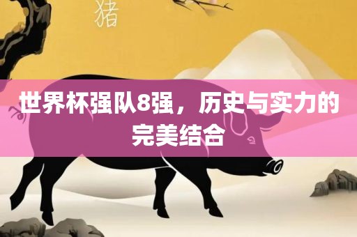 世界杯强队8强，历史与实力的完美结合