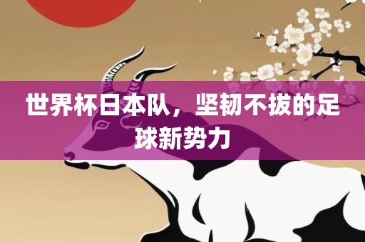 世界杯日本队，坚韧不拔的足球新势力