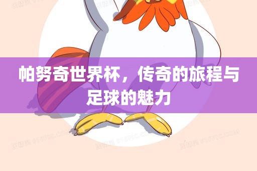 帕努奇世界杯，传奇的旅程与足球的魅力