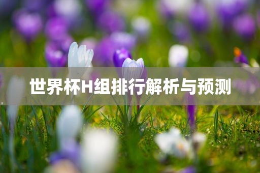 世界杯H组排行解析与预测