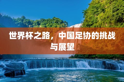 世界杯之路，中国足协的挑战与展望