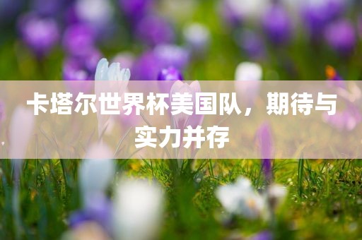 卡塔尔世界杯美国队，期待与实力并存