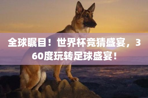 全球瞩目！世界杯竞猜盛宴，360度玩转足球盛宴！