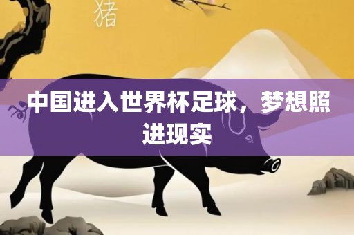 中国进入世界杯足球，梦想照进现实
