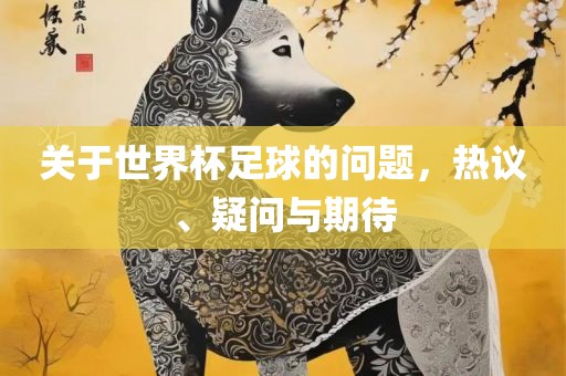 关于世界杯足球的问题，热议、疑问与期待