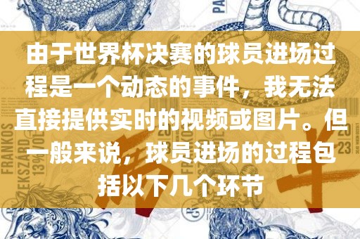 由于世界杯决赛的球员进场过程是一个动态的事件，我无法直接提供实时的视频或图片。但一般来说，球员进场的过程包括以下几个环节