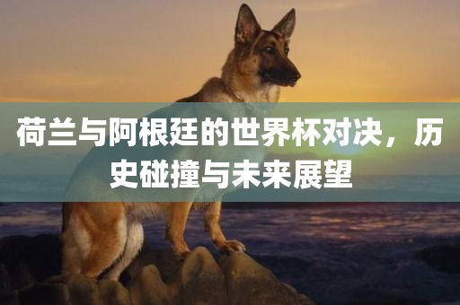 荷兰与阿根廷的世界杯对决，历史碰撞与未来展望