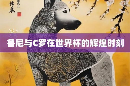 鲁尼与C罗在世界杯的辉煌时刻