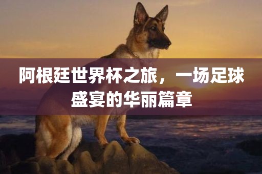 阿根廷世界杯之旅，一场足球盛宴的华丽篇章