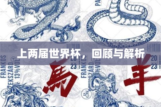 上两届世界杯，回顾与解析