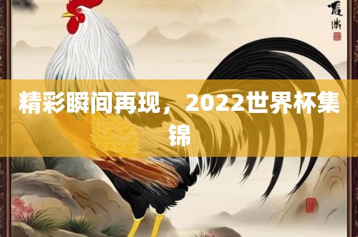 精彩瞬间再现，2022世界杯集锦