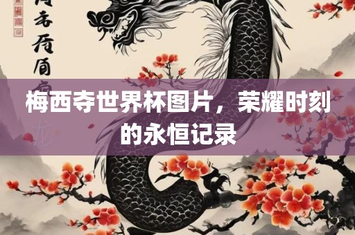梅西夺世界杯图片，荣耀时刻的永恒记录