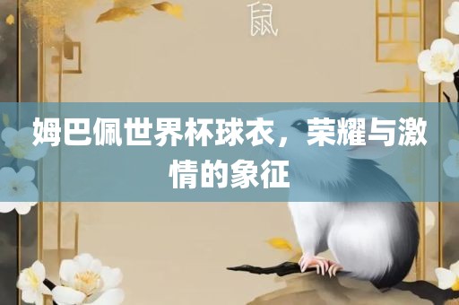 姆巴佩世界杯球衣，荣耀与激情的象征
