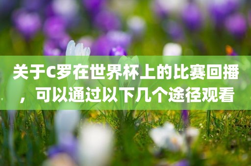 关于C罗在世界杯上的比赛回播，可以通过以下几个途径观看