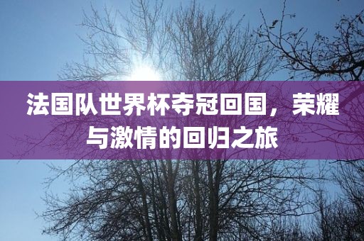 法国队世界杯夺冠回国，荣耀与激情的回归之旅
