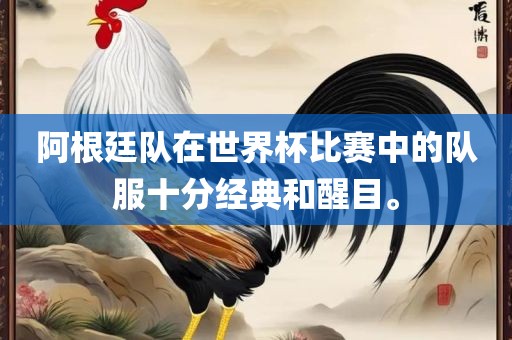 阿根廷队在世界杯比赛中的队服十分经典和醒目。