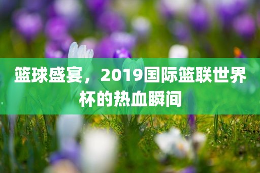 篮球盛宴，2019国际篮联世界杯的热血瞬间