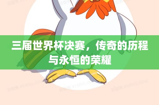 三届世界杯决赛，传奇的历程与永恒的荣耀