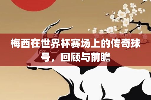 梅西在世界杯赛场上的传奇球号，回顾与前瞻