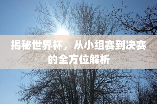 揭秘世界杯，从小组赛到决赛的全方位解析
