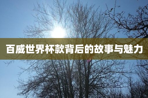 百威世界杯款背后的故事与魅力