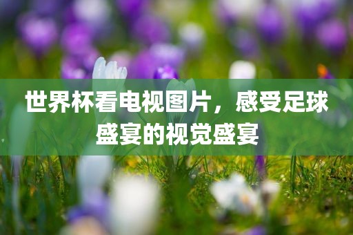 世界杯看电视图片，感受足球盛宴的视觉盛宴