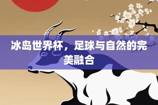 冰岛世界杯，足球与自然的完美融合