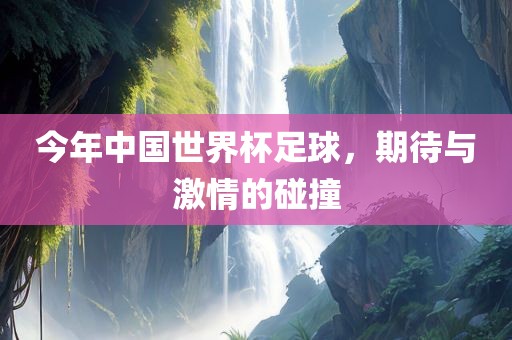 今年中国世界杯足球，期待与激情的碰撞