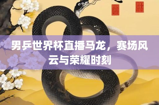 男乒世界杯直播马龙，赛场风云与荣耀时刻