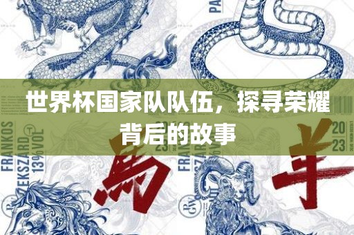 世界杯国家队队伍，探寻荣耀背后的故事