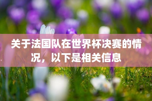 关于法国队在世界杯决赛的情况，以下是相关信息