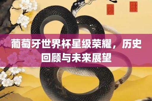 葡萄牙世界杯星级荣耀，历史回顾与未来展望