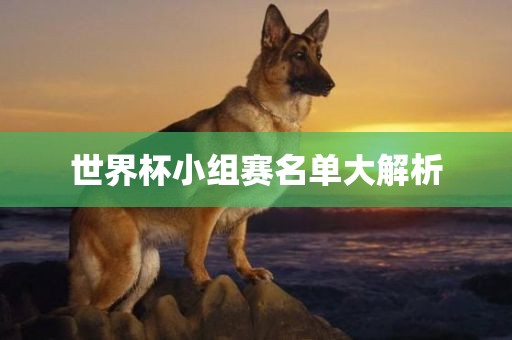 世界杯小组赛名单大解析