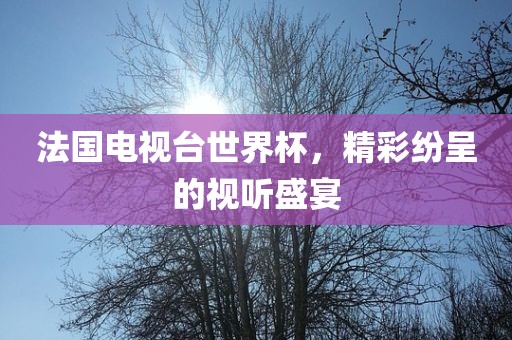 法国电视台世界杯，精彩纷呈的视听盛宴