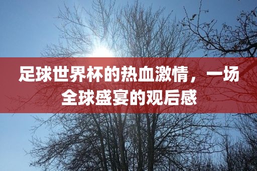 足球世界杯的热血激情，一场全球盛宴的观后感