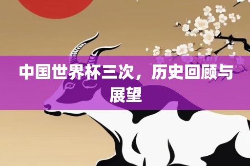 中国世界杯三次，历史回顾与展望