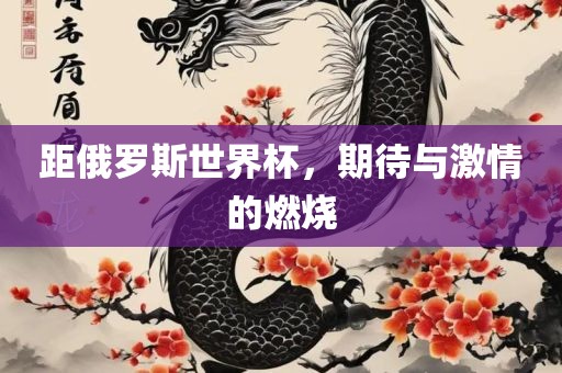 距俄罗斯世界杯，期待与激情的燃烧