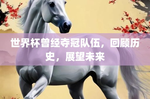 世界杯曾经夺冠队伍，回顾历史，展望未来